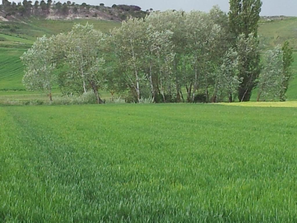 Rural San Pelayo San Pelayo (Valladolid)